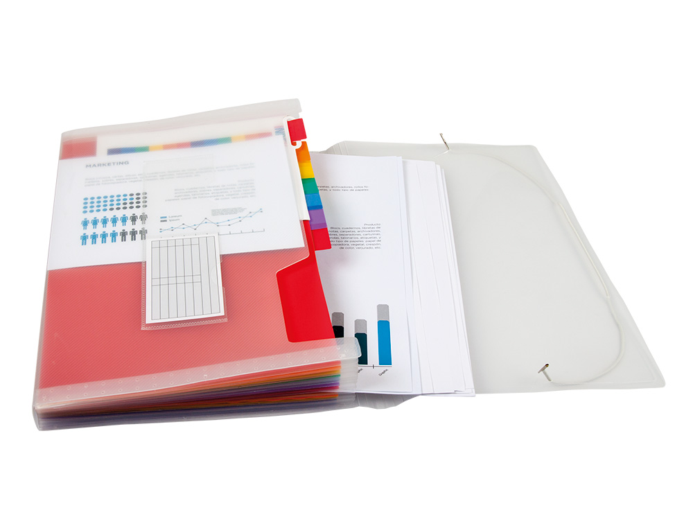 CARPETA LIDERPAPEL CLASIFICADOR FUELLE 42159 POLIPROPILENO A4 TTE 2 HUECOS TARJETAS SPECTRAFILE 13 DPTO