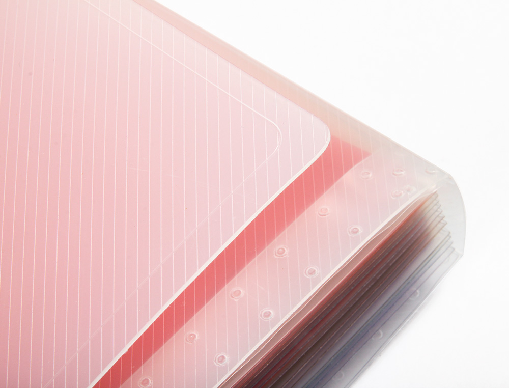 CARPETA LIDERPAPEL CLASIFICADOR FUELLE 42159 POLIPROPILENO A4 TTE 2 HUECOS TARJETAS SPECTRAFILE 13 DPTO
