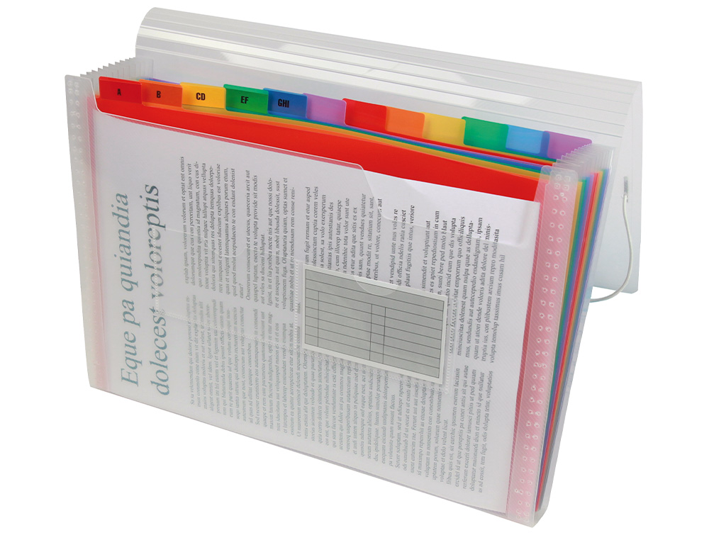 CARPETA LIDERPAPEL CLASIFICADOR FUELLE 42159 POLIPROPILENO A4 TTE 2 HUECOS TARJETAS SPECTRAFILE 13 DPTO